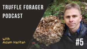 Truffle Forager Podcase Episode 5 with Adam Haritan from Learn Your Land