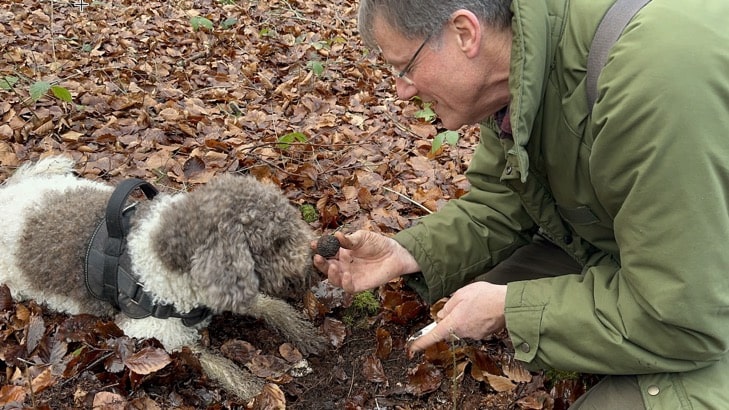 Man dog and truffle