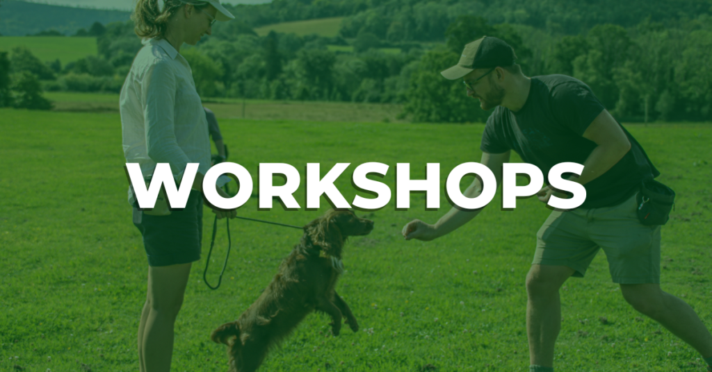 Truffle Dog Training Workshops