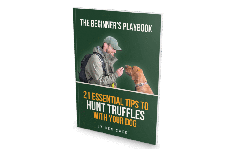 The Beginner's Playbook: 21 Essential Tips to Hunt Truffles with Your Dog, by Ben Sweet