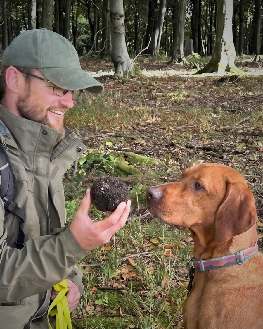 Ben Sweet and Buddy the Vizsla facing each other with a truffle between them in a beech woodland